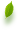 叶子
