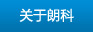 关于朗科